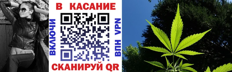 Где купить Шуя ГАШИШ  hydra ссылка  Мефедрон  COCAIN  Бутират 